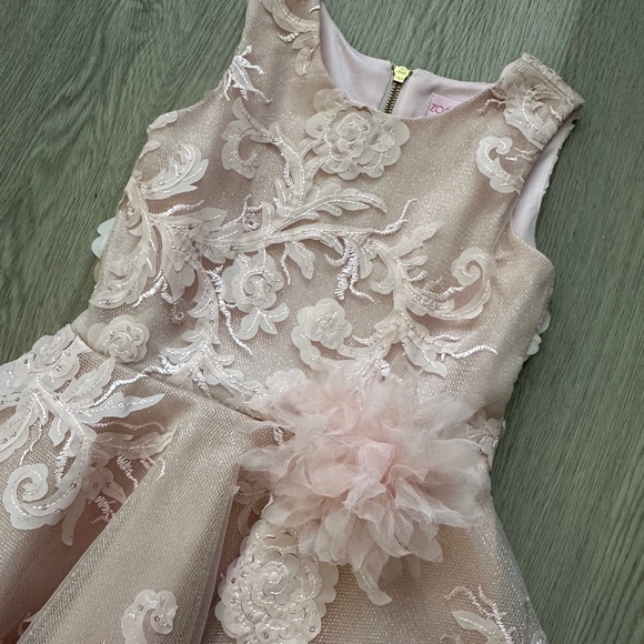 Zoe Ltd. Girls Formal Pink Dress LIKE NEW, WORN ONE TIME Size 8, Valentine's Day - Picture 11 of 16